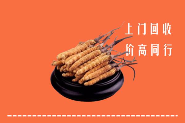 高价求购：木里县回收散虫草